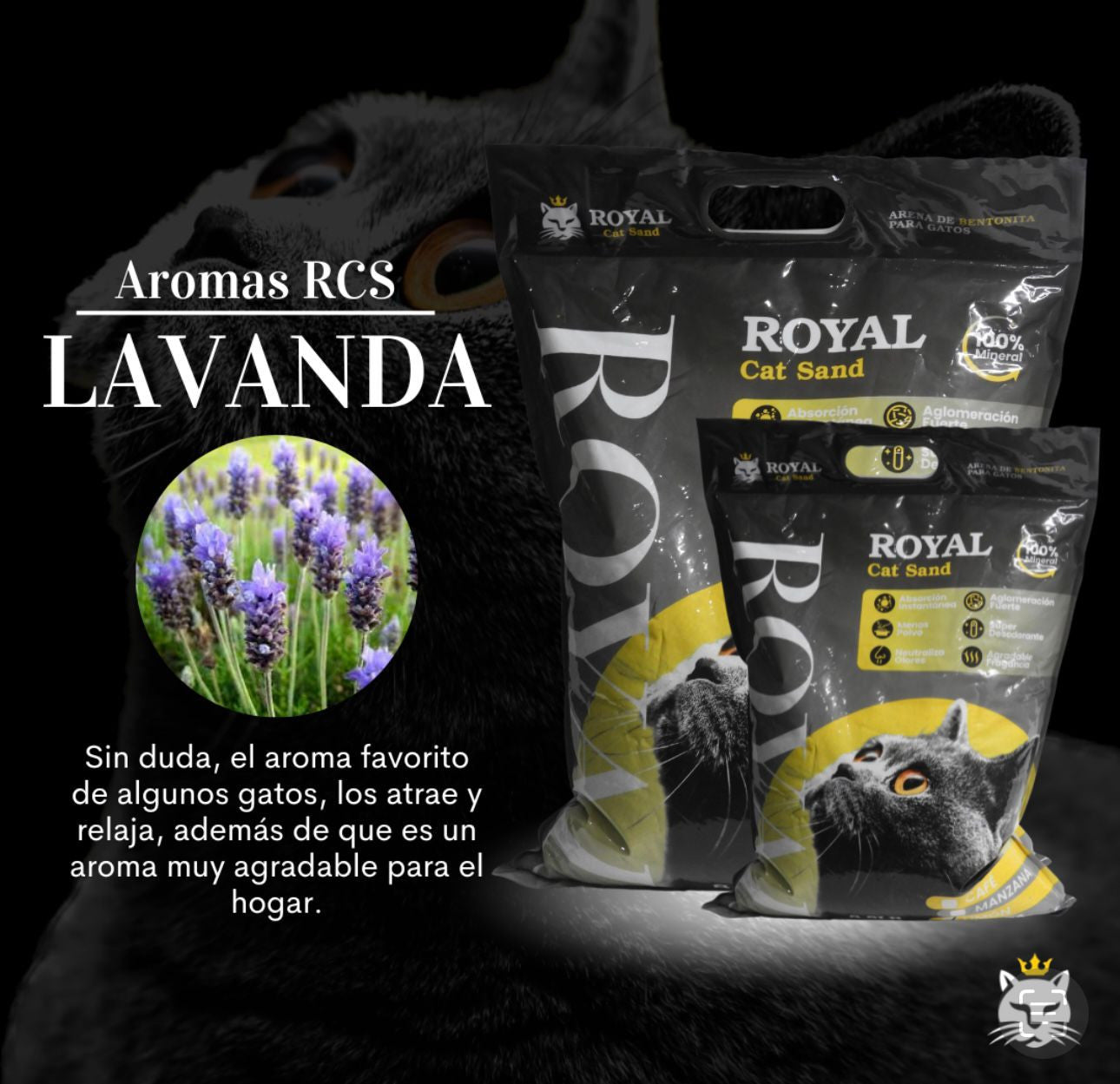 Arena Royal Cat Aroma